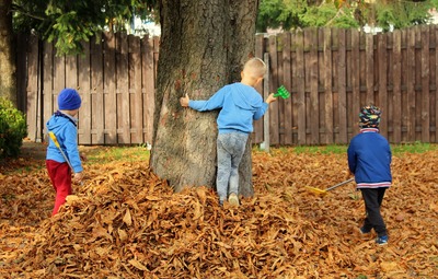 Vakantieaanbod herfst- en kerstvakantie 2024